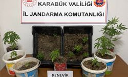 Karabük'te uyuşturucu operasyonunda 1 şüpheli yakalandı
