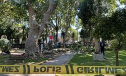 Kocaeli'de üzerlerine ağaçtan kopan dal düşen 3 kişi yaralandı