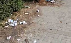 Yediler, içtiler, eğlendiler pisliği doğaya bırakıp gittiler