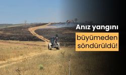 Anız yangını, ormana sıçramadan söndürüldü