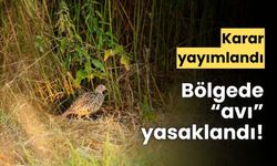 Batı Karadeniz’de, keklik avının yasaklandığı duyuruldu
