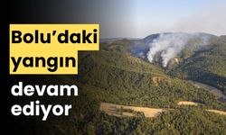 Bolu'nun Göynük ilçesindeki orman yangını devam ediyor