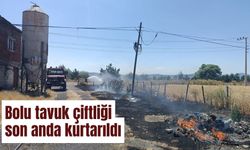 Bolu tavuk çiftliği son anda kurtarıldı