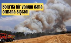 Bolu’da bir yangın daha ormana sıçradı