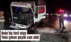 Bolu’da feci olay yola çıkan geyik can aldı