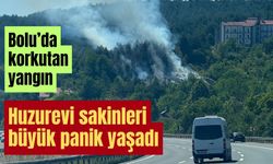 Bolu'da korkutan yangın!