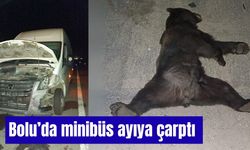 Bolu’da minibüs ayıya çarptı