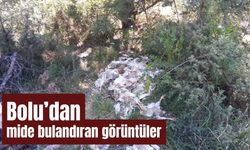 Bolu’dan mide bulandıran görüntüler