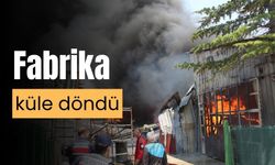 Bolu’da yangın çıkan medikal fabrikası, küle döndü
