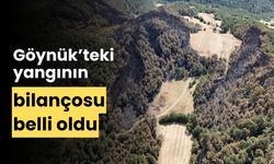 Bolu’daki yangında, 35 hektar orman alanı zarar gördü