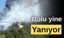 Bolu'nun Göynük ilçesinde orman yangını başladı
