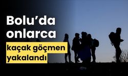 Bolu’da, 67 kaçak göçmen yakalandı