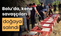 Bolu’da, kene savaşçıları doğaya salındı
