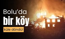 Bolu’da yangın çıkan köy, küle döndü; 12 yapı yandı