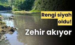 Mudurnu Deresi siyaha döndü, zehir akıyor!