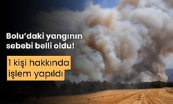 Bolu’daki orman yangınının çıkış sebebi belli oldu; 1 kişi hakkında işlem yapıldı