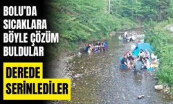 Bolu'da sıcaktan bunalanlar Abant Deresi'nde serinledi