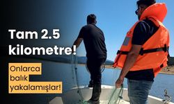 Gölde 2.5 kilometre uzunluğunda kaçak ağ yakalandı!