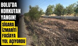 Bolu'da yol kenarına atılan sigara izmariti, kuru otları yaktı