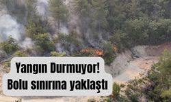Yangın Durmuyor! Bolu sınırına yaklaştı