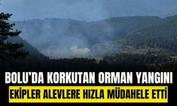 Bolu’da orman yangını ekiplerin hızlı müdahalesiyle söndürüldü