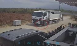 Oyun oynarken yola fırlayan iki köpek çöp kamyonunun altında kaldı
