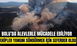 Bolu'daki orman yangınına müdahale sürüyor
