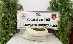 Uyuşturucu operasyonunda yakalanan 2 zanlı tutuklandı