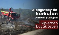 Bolu Alpagutbey’de korkutan orman yangını