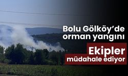 Bolu Gölköy’de orman yangını: Ekipler müdahale ediyor