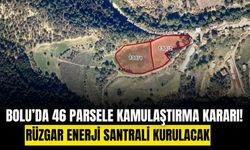 Resmi Gazete’de yayımlandı: Bolu’daki 46 parsel kamulaştırıldı