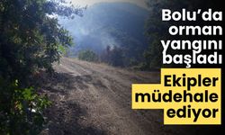 Bolu’da orman yangını başladı