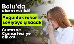 Bolu’da alarm verildi! Polen yoğunluğu rekor seviyede