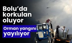 Bolu'daki orman yangını yayılıyor