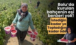 Bolu’da kurulan bahçenin eşi benzeri yok! Ne ararsanız var