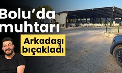 Bolu’da muhtarı arkadaşı bıçakladı