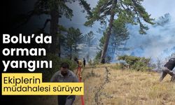 Bolu’da orman yangını ekiplerin müdahalesi sürüyor
