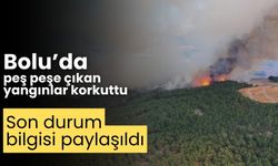 Bolu’da peş peşe çıkan iki yangın korkuttu