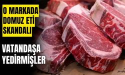 İsim değiştiren firmanın salamında yine domuz eti tespit edildi