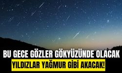 12 Ağustos gecesi gökyüzünde ateş topları görülecek