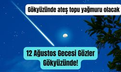 12 Ağustos gecesine dikkat!  Gökyüzünde "ateş topları" görünecek