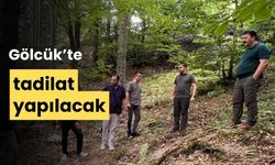 Gölcük Tabiat Parkı’nda, tadilat yapılacak