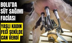 Süt sağarken elektrik akımına kapılan kadın hayatını kaybetti