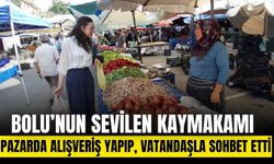 Kaymakam pazar alışverişine çıktı, vatandaşla yakından ilgilendi