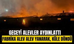 Boya fabrikasında yangın