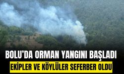 Bolu'da ormanlık alanda çıkan yangına müdahale ediliyor