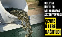 Bolu'da üretilen sazan yavruları Ankara ve Kırıkkale'de salındı