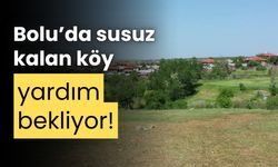 Bolu’da susuz kalan köylüler, yardım bekliyor