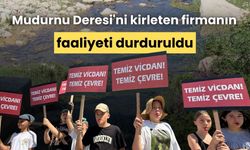 Mudurnu Deresi'ni kirleten firmanın faaliyeti durduruldu