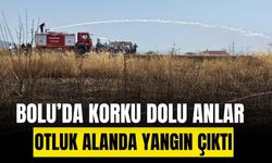 Bolu’da otluk alandaki yangın evlere sıçramadan söndürüldü